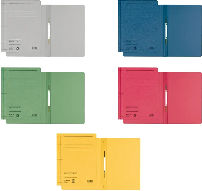 Dosar carton color, cu sina, 5 culori, 25 buc/set Leitz