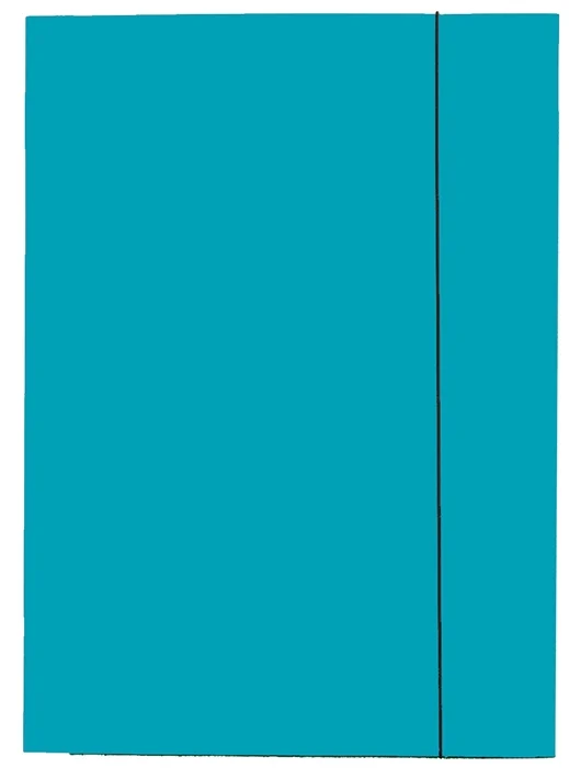 Mapa A4 Economy din carton cu elastic Esselte – imaginea 2