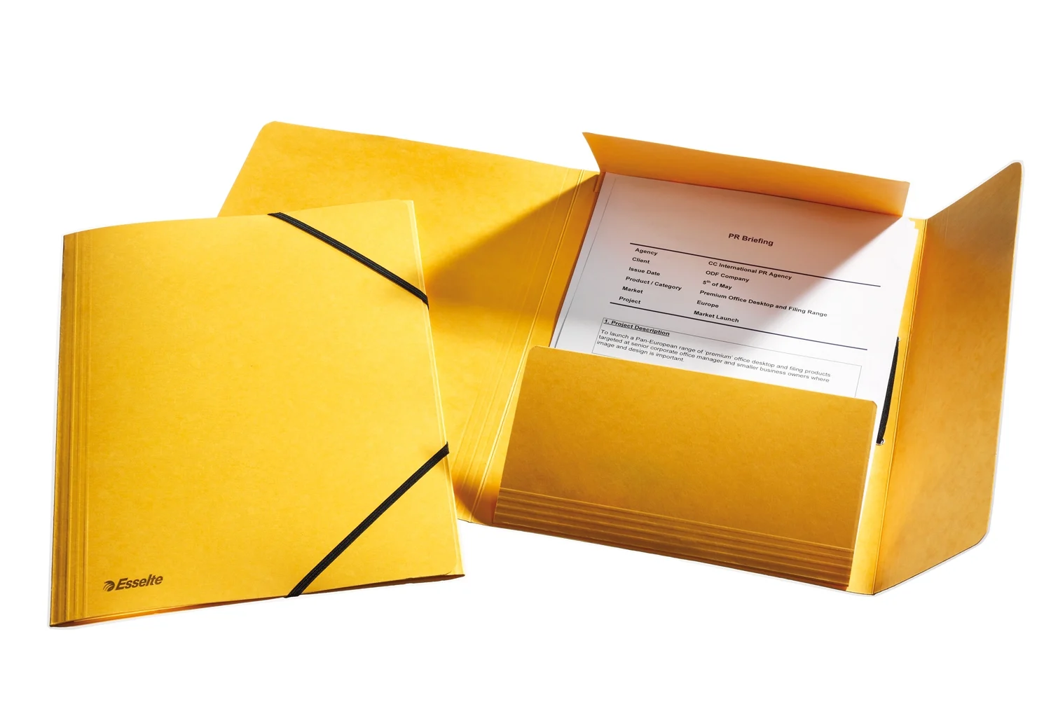 Mapa A4 lux din carton cu elastic Esselte – imaginea 3