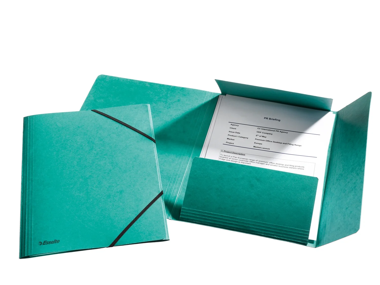 Mapa A4 lux din carton cu elastic Esselte – imaginea 4