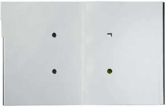 Mapa cu separatoare Leitz Recycle, carton, 100% reciclat, certificare Blue Angel, reciclabil, A4, 6 separatoare, negru – imaginea 3