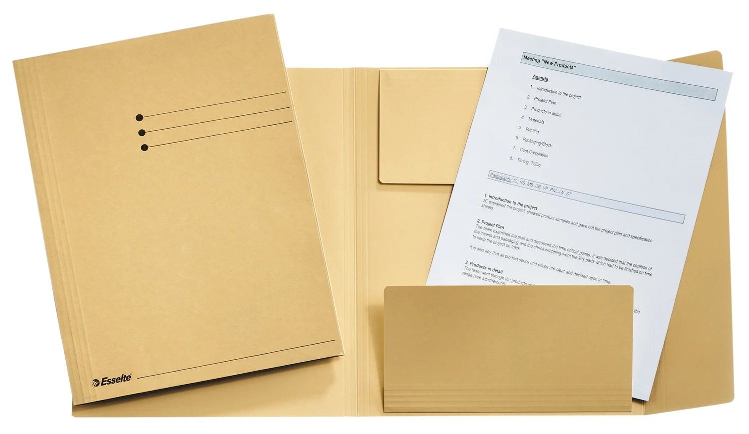 Dosar tip plic , carton, 100% reciclat, certificare Blue Angel, reciclabil, A4, 250 coli, Esselte – imaginea 6